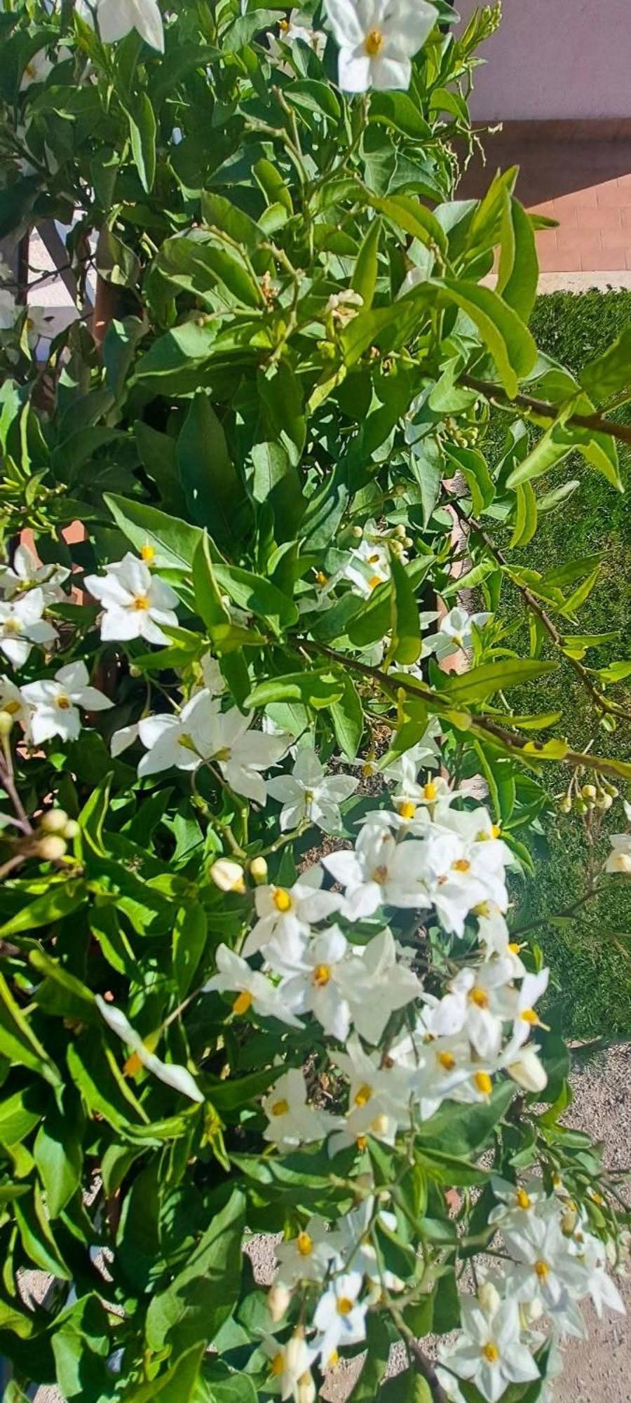 Agriturismo Maremma Amara 사투르니아 외부 사진